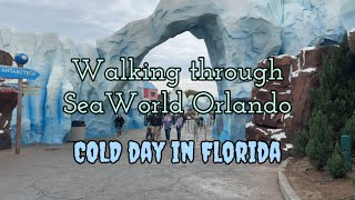 Walking around SeaWorld Orlando on cold day