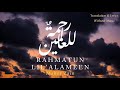 Rahmatun Lil'alameen - Maher Zain |Translation & Lyrics | Without Music | Vocals Only #aestheticnoor