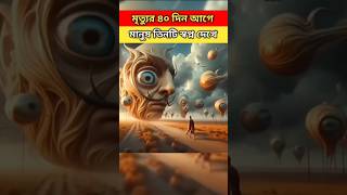 মৃত্যুর ৪০ দিন আগে মানুষ তিনটি স্বপ্ন দেখে থাকে | #youtubeshorts  #islamicshorts #moralstory