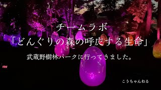 チームラボ 「どんぐりの森の呼応する生命」@武蔵野樹林パークを見てきました（外から）(teamlab: Resonating Life in the Acorn Forest)