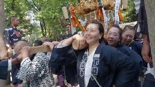 川崎　稲毛神社　山王祭　町内御輿連合渡御　2024/08/3  c6