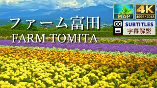 ファーム富田 | Farm Tomita | 富田农场 (北海道中富良野町 | Nakafurano,Hokkaido)【地図と観光案内 | maps and travel guide】