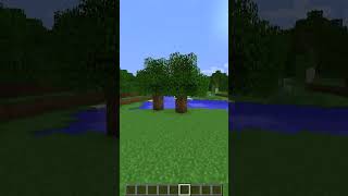 Best Minecraft Mini Map Mod