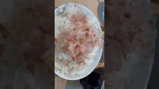 【ご飯】　#オカカ　#鰹節　#お米　#日本　[Rice] #Okaka #Katsuobushi #Rice #japan