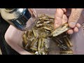 〈 職人吹水〉 豉汁炒聖子 豉汁怎樣調配 蟶子吐沙 竅門 stir razor clam with garic bean sauce