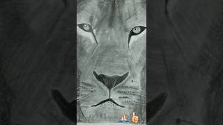 lion drawing realistic #art #drawing #shortvideo #trending #shortsfeed #artist #youtubeshorts