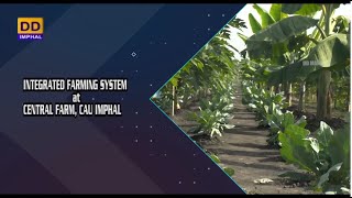 Agriculture Programme | Integrated Farming System at Central Farm, CAU Imphal