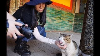 阴晴不定的青藏高原和暴雨后的塔尔寺更加神秘美丽