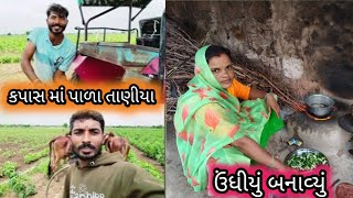 આજે ફાઈનલી કપાસ માં પાળા તાણીયા😀#trendingvlog#viralvlog#youtubevlog