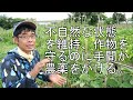 『無農薬野菜だから形が悪い』と思ってほしくない理由【有機・オーガニックの誤解】