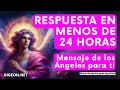 RESPUESTA INMEDIATA💌MENSAJE DE LOS ÁNGELES PARA TI -DIGEON- Arcángel Zadquiel- Ens. VERTI