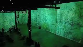 Atelier des Lumières 14th Sept 2024 van goh painter Netherlands(3)