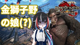 【モンハンRISE/SUNBREAK】その者黒き衣を纏いて金獅子の野に降り立つべし【#monsterhunterrise  】