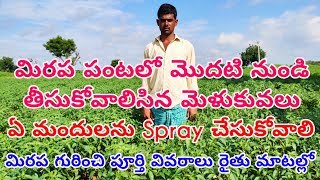 Chillis precautions | మిర్చి పంట గురించి పూర్తి సమాచారం రైతు మాటలలో || Seeds | Fertlizers