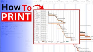 How to Print Your Project Schedule Professionally | MS Project