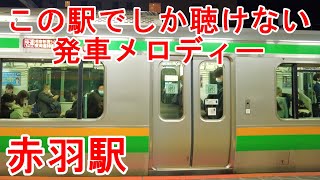 【特別な駅の発車メロディー】電車の日常：湘南新宿ライン　JR赤羽駅ホームからの風景