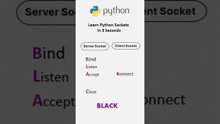Python Basics: The Best Way to Learn Python Socket (2025) in Just 3 Seconds #coding #script