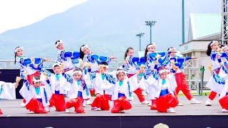 [4K] 枕崎舞炎鰹　かごしま春祭 大ハンヤ2024 2日目 メイン会場 (中央)