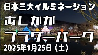 【イルミネーション】あしかがフラワーパーク 2025年1月25日（土）