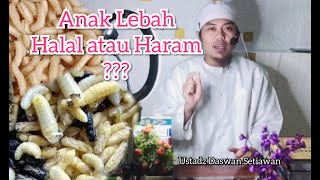 HUKUM ANAK LEBAH/ODENG.  (Ustadz Daswan Setiawan)