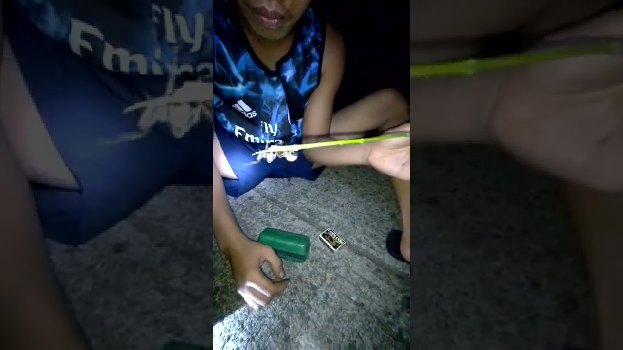 15 September 2022 Youtube