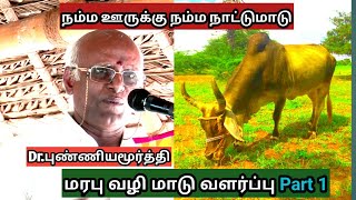 நம்ம ஊருக்கு நம்ம நாட்டுமாடுகளே சிறந்தது | மரபு வழி மாடு வளர்ப்பு Part 1