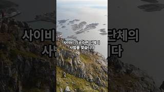 사이비 기공수련 단체의 사범을 찾습니다 #사건사고 #사이비교주 #기공수련