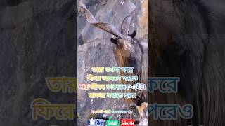 দুইটা ভয়ঙ্কর পাপের কথা বলে নেই।এই পাপের ফল সারা জীবন ভোগ করতে হবে।#ওয়াজ #shorts #short #abutoha