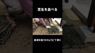 【DIY】素人が芝生敷いてみた #shorts