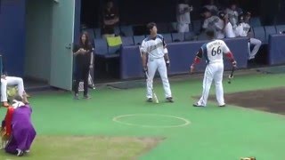 日ハム・鎌ヶ谷にベースボール犬わさびちゃん登場！！大嶋・姫野選手の手なずけ作戦は？？　2016.5.14