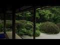 【京都の四季便り】雨の詩仙堂　kyoto walk