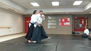 Aikido - Sankyo Koshi