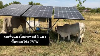 อัพเดท รถเข็นแผงโซล่าเซลล์ 3 แผง กับปั๊มหอยโข่ง 750W หลังใช้งานมา 1 ปี 2 เดือน