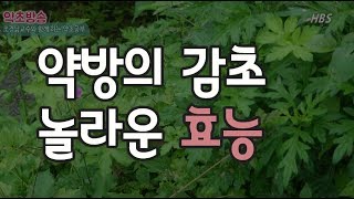 감초의 놀라운 효능[약초방송]