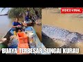 BUAYA TERBESAR SUNGAI KURAU DIKENALI 