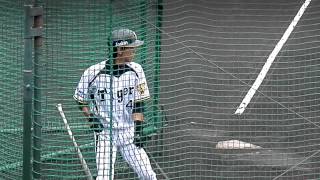 2012.6.5阪神鳴尾浜球場上本フリー打撃