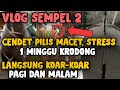 Cara Cepat Gacor Buat Cendet Pilis, Stress, Macet Dan Giras VERSI BANG UCUP!