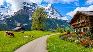 ALPINE PARADISE 🇨🇭| MOUNTAIN DREAM ROAD, FLOWERS AND PEACEFUL NATURE | FAIRYTALE SWISS BEAUTY [4K]