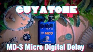 💎 Tiny Classic Delay | Guyatone MD-3 | Micro Digital Delay