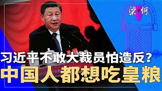 习近平不敢大裁员怕造反？中国人都想吃皇粮，特权诱惑太大  | #梁+何（427）