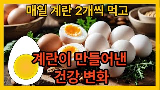 매일 계란 2개, 4주 동안의 놀라운 효과 공개