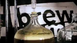 Ale Syndicate - On Homebrewing