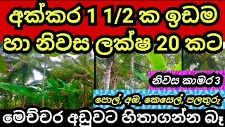 අක්කර 1 1/2 ක පොල් ඉඩම හා නිවස ලක්ෂ 20 කට | Pol idam | Coconut land | Agriculture land| Aduwata idam