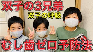 双子の３兄弟‼️むし歯ゼロ予防法‼️双子の呼吸⁉️原歯科医院【調布市・八雲台・布田駅】