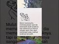 video viral ibu adalah segalanya. reelsshorts viralvideo katakatabijak ibuayah