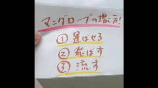 【ゲスト出演あり！】沖縄エコツアーライブ　川編（短縮バージョン）