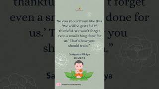 How should we train our minds? - Samyutta Nikaya 20.12