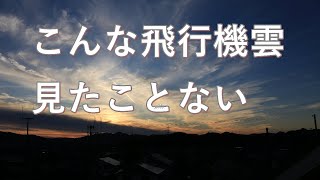 こんな飛行機雲初めて見た