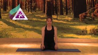 Yoga - Simhasana (Lion Pose)