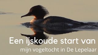 Een ijskoude start van mijn vogeltocht in gluurmuur De Lepelaar #1450